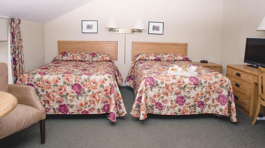 The Queen'S Inn Kingston Luaran gambar